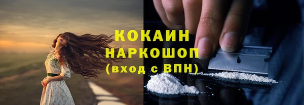 бошки Алзамай