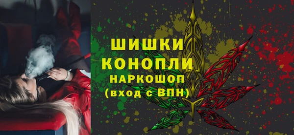 молекула духа Алексеевка