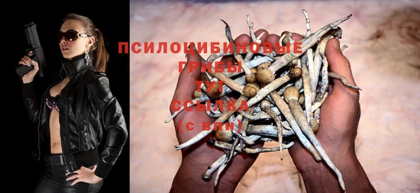 молекула духа Алексеевка